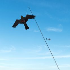 Vogelverjager kite hawk sfeerbeeld