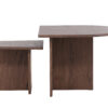 MISOU Salontafel Set van 2 Bijzettafel Koffietafel 60x60x45cm Hout Bruin